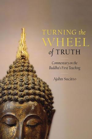 Cover of the book Turning the Wheel of Truth by Sarahjoy Marsh