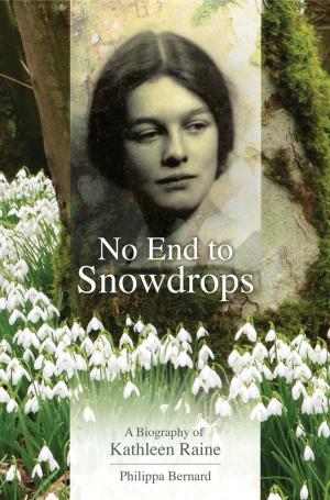 Cover of the book No End to Snowdrops by Kenneth Verity