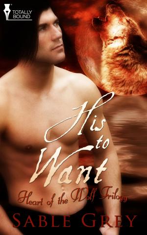 Cover of the book His to Want by T.C. Blue
