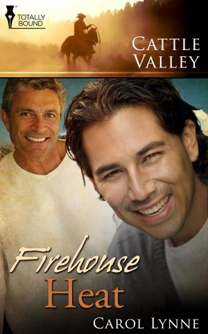 Cover of the book Firehouse Heat by Megan Chance