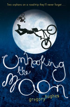 Cover of the book Unhooking the Moon by Anne Digby, Anne Digby
