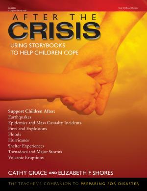 Cover of the book After the Crisis by Johnna Darragh Ernst, PhD