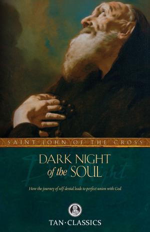 Cover of the book Dark Night of the Soul by Rev Fr. Rumble, Rev Fr. Carty