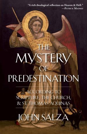 Cover of the book The Mystery of Predestination by Mary Fabyan Windeatt