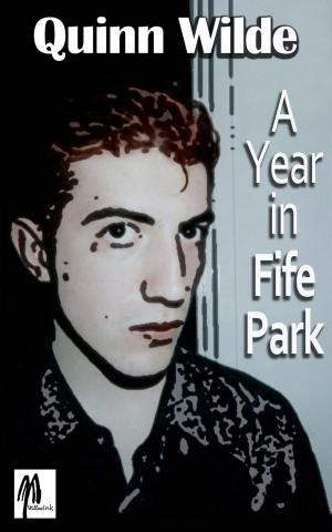Cover of the book A Year in Fife Park by Charles Petterson