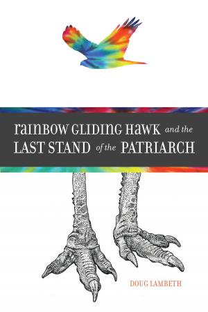 Cover of the book Rainbow Gliding Hawk and the Last Stand of the Patriarch by Frank Fabian
