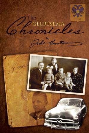 Cover of the book The Geertsema Chronicles by Megan Smolenyak