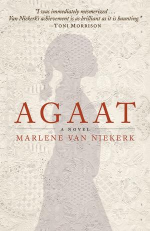 bigCover of the book Agaat by 