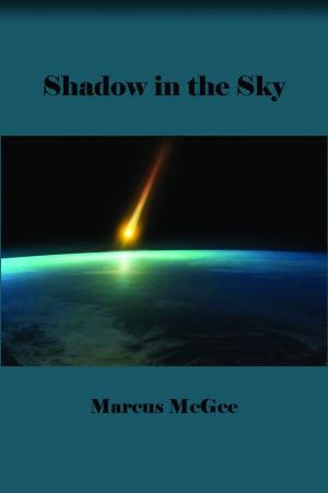 Cover of the book Shadow In The Sky by Laura Benedict