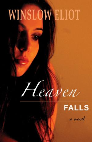 bigCover of the book Heaven Falls by 