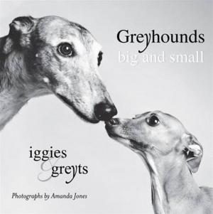 Cover of the book Greyhounds Big and Small by Joe McGinniss