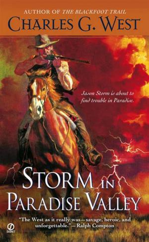 Cover of the book Storm in Paradise Valley by B. B. Haywood