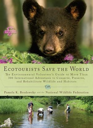 Cover of the book Ecotourists Save the World by Peter Turchin