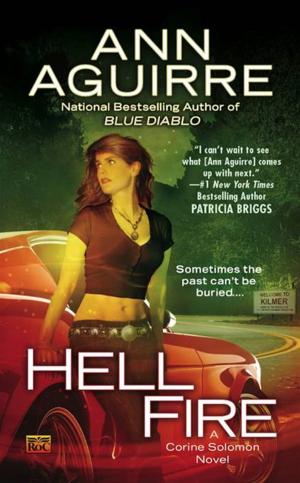 Cover of the book Hell Fire by Leann Sweeney