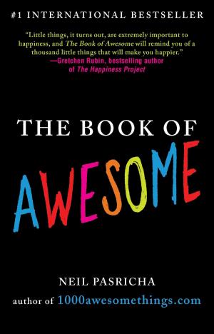 Cover of the book The Book of Awesome by Marcus du Sautoy