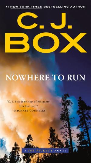Cover of the book Nowhere to Run by G. Richard Shell