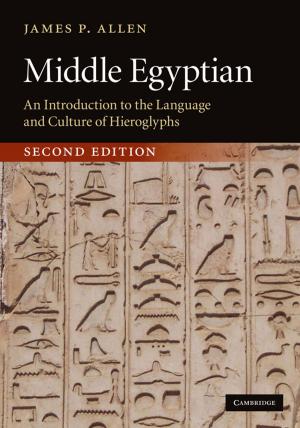 Cover of the book Middle Egyptian by Ronald H. Chilcote