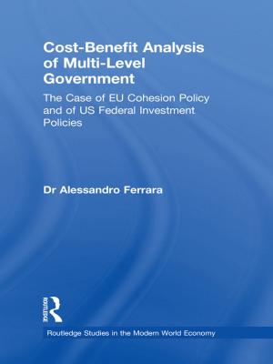 Cover of the book Cost-Benefit Analysis of Multi-level Government by Maarten Delbeke