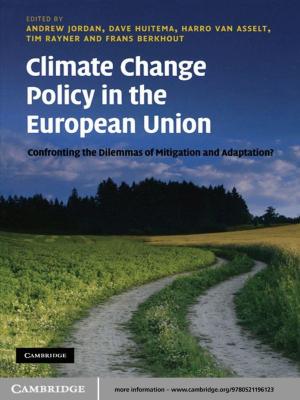 Cover of the book Climate Change Policy in the European Union by Kenneth W. Goodman