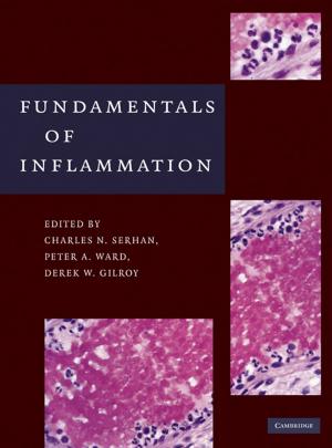 Cover of the book Fundamentals of Inflammation by Giuseppe Da Prato, Jerzy Zabczyk