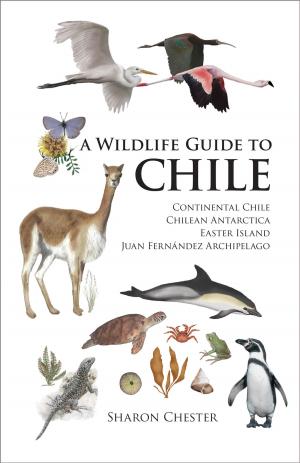 Cover of the book A Wildlife Guide to Chile by Anna Sun