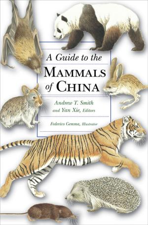 Cover of the book A Guide to the Mammals of China by 