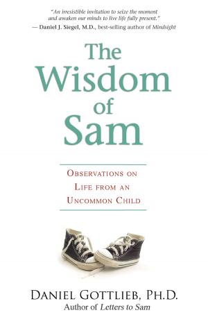 Cover of the book The Wisdom of Sam by Davidji