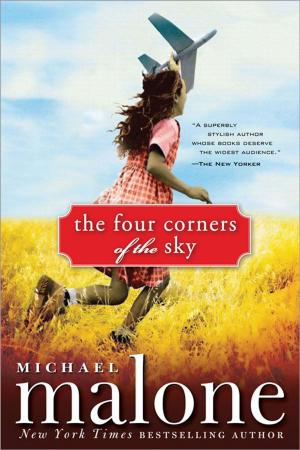 Cover of the book The Four Corners of the Sky by Terry Spear