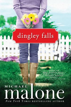 Cover of the book Dingley Falls by Patricia Rice