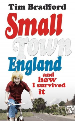 Cover of the book Small Town England by Josefina Rivera