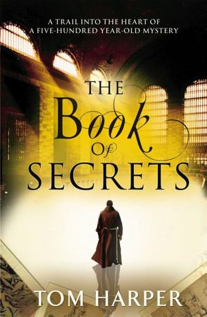 Cover of the book The Book of Secrets by Michel Stone