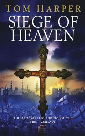 Cover of the book Siege of Heaven by Timothy Bryant