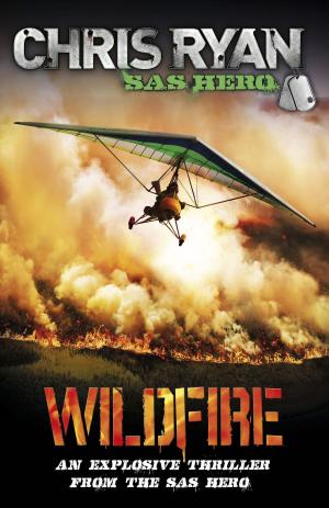 Cover of the book Wildfire by Theresa Tomlinson