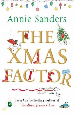 Book cover of The Xmas Factor