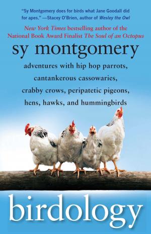 Cover of the book Birdology by J.N. Stroyar