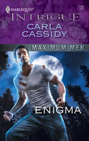 Cover of the book Enigma by Jennifer Slattery