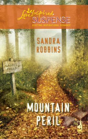 Cover of the book Mountain Peril by Lissa Manley