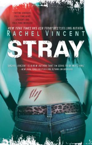 Cover of the book Stray by Rachel Vincent
