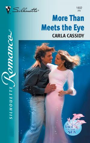 Cover of the book More Than Meets The Eye by Barbara McCauley