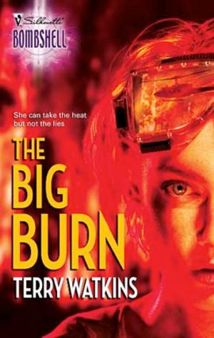 Cover of the book The Big Burn by Cara Colter