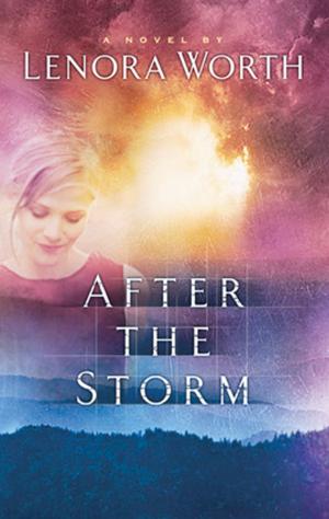 Book cover of After the Storm