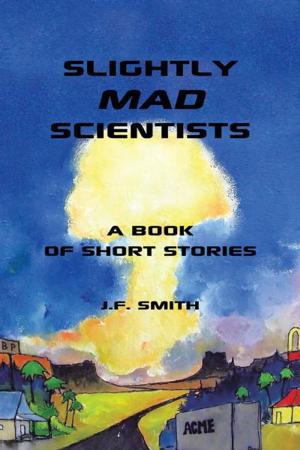 Cover of the book Slightly Mad Scientists by David Martin