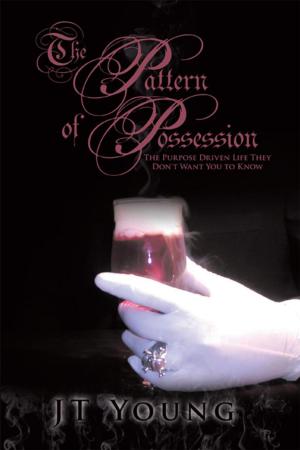 Cover of the book The Pattern of Possession by Dorian Oria San Martín