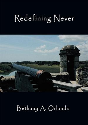 Cover of the book Redefining Never by McCal Roberts