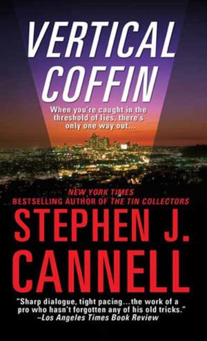 Cover of the book Vertical Coffin by Joseph Finder