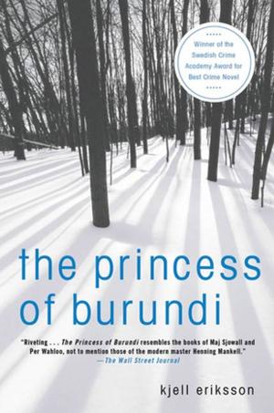 Cover of the book The Princess of Burundi by Francois Dionne