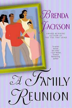 Cover of the book A Family Reunion by Bernard DeVoto