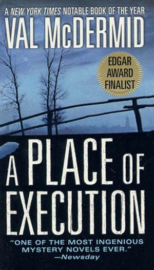 Cover of the book A Place of Execution by Carrie Keagan, Dibs Baer