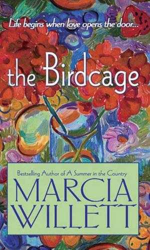 Cover of the book The Birdcage by Saul Goodman, Steve Huff