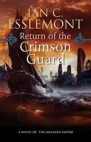 Cover of the book Return of the Crimson Guard by Patti O'Shea